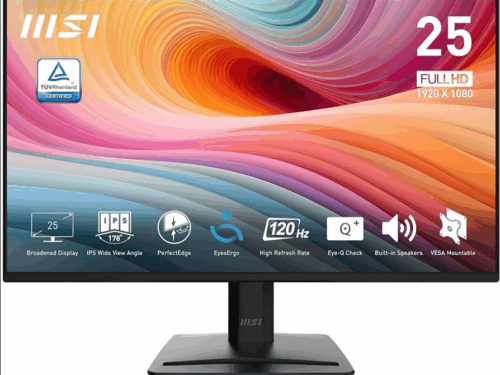 Écran PC MSI Pro MP252 25''